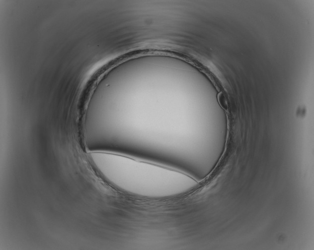 X0000093230971200709261506