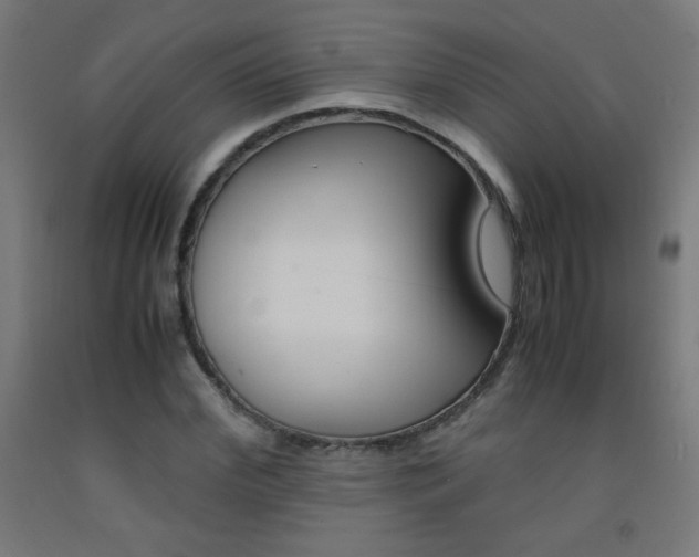 X0000093230972200709261506