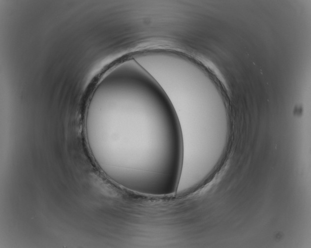 X0000093230973200709261506