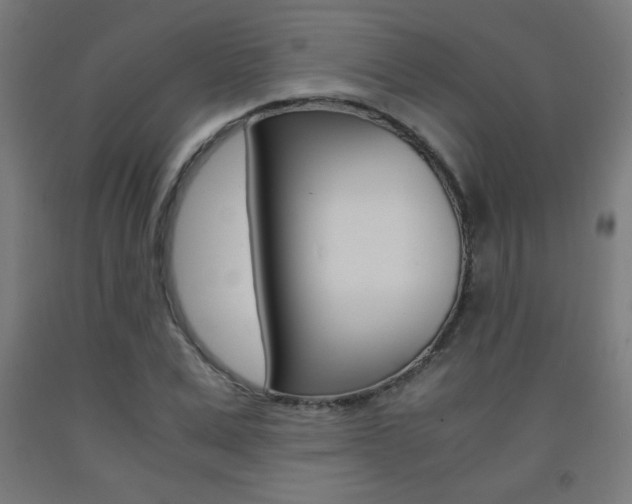 X0000093230975200709261506