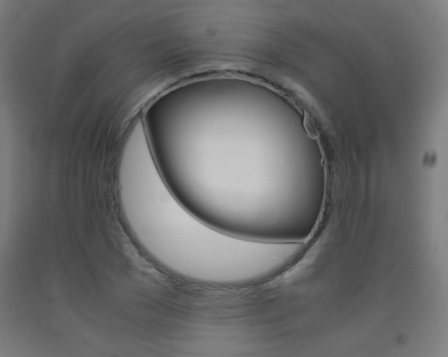 X0000093230977200709261506
