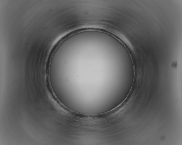 X0000093230980200709261506