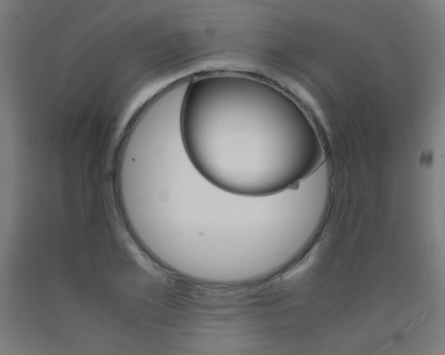 X0000093230981200709261506