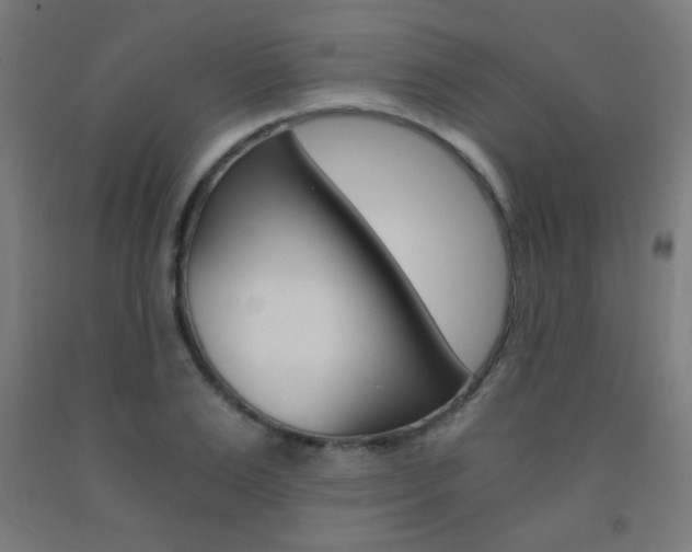 X0000093230983200709261506