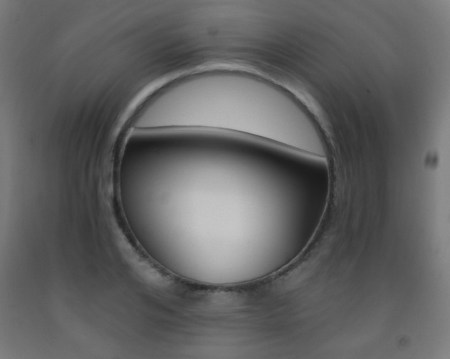X0000093230984200709261505