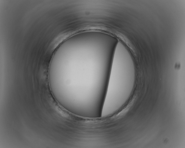 X0000093230985200709261505