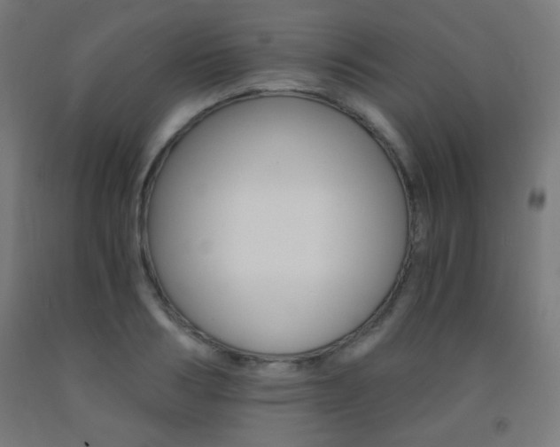 X0000093230986200709261505