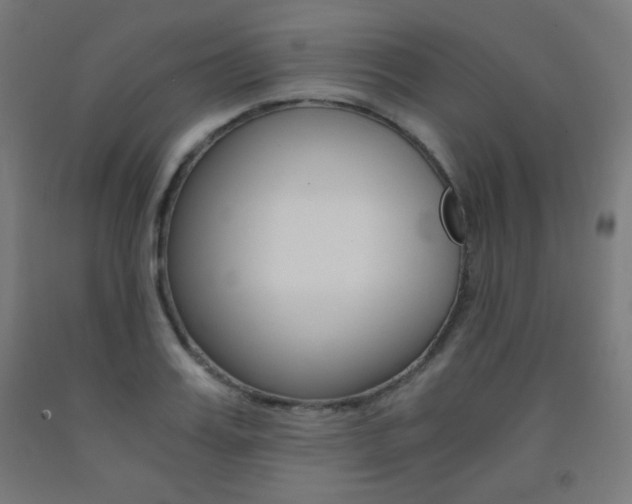 X0000093230987200709261505