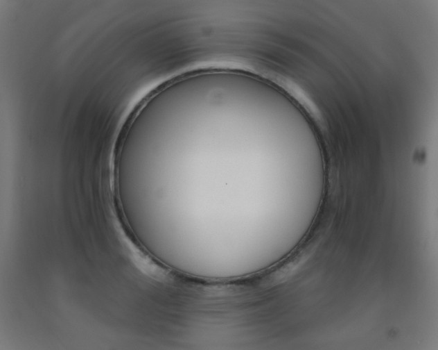 X0000093230988200709261505