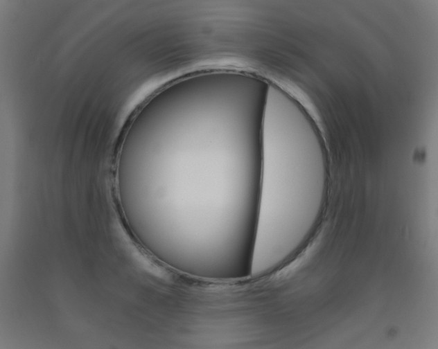 X0000093230989200709261505