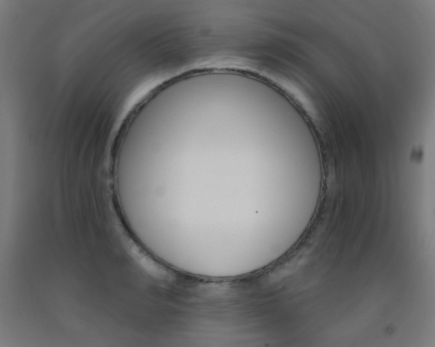 X0000093230990200709261505