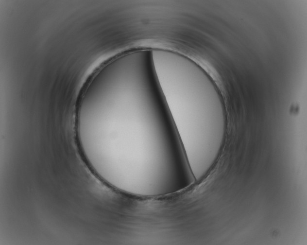 X0000093230992200709261505
