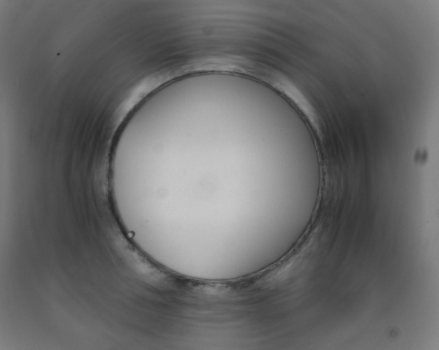 X0000093230994200709261505