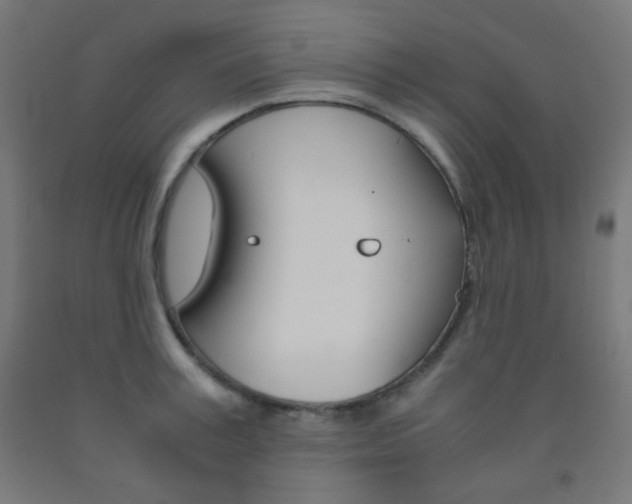X0000093230995200709261505