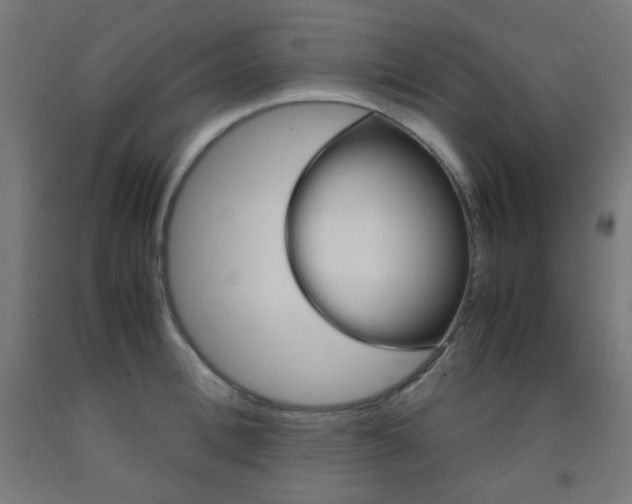 X0000093230996200709261505