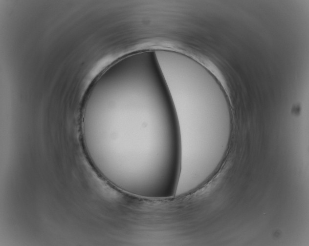 X0000093230997200709261505