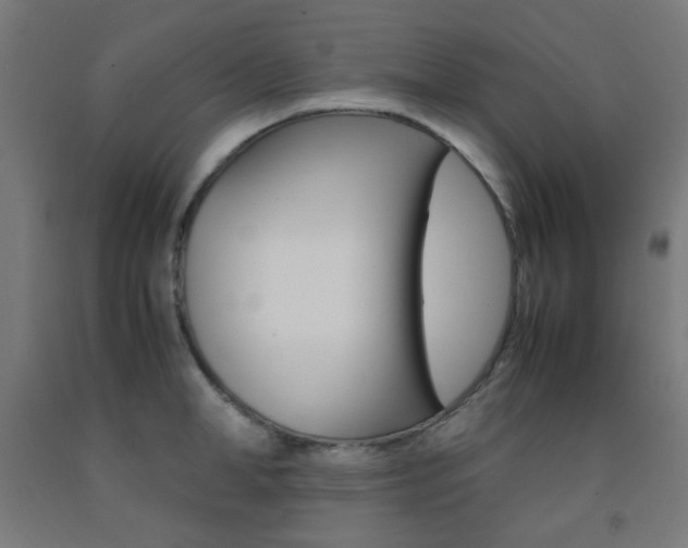 X0000093230998200709261505