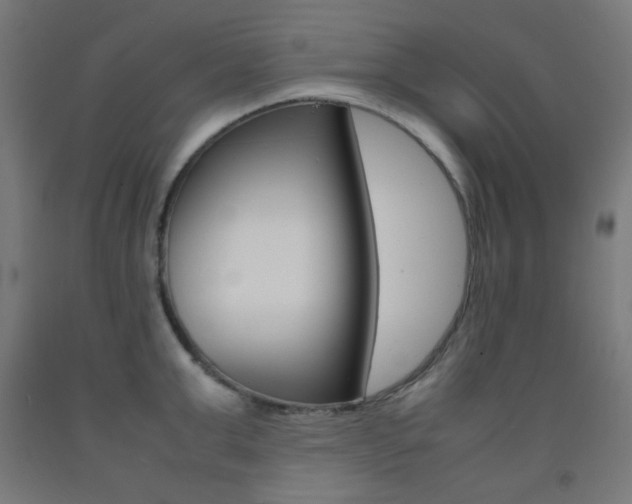 X0000093230999200709261505