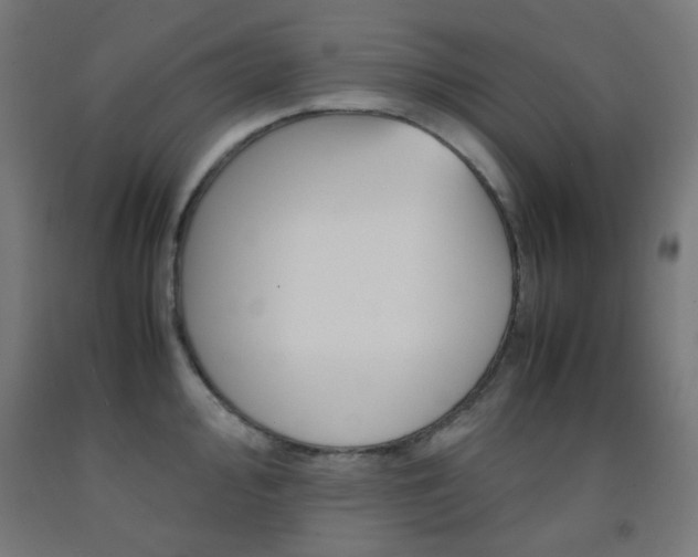 X0000093231000200709261505