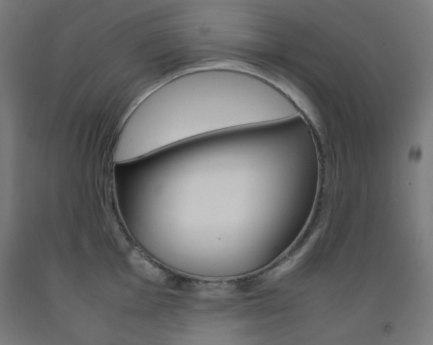 X0000093231001200709261505