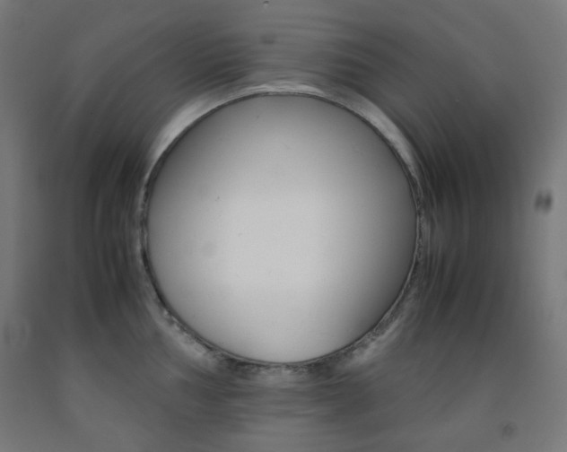 X0000093231002200709261505