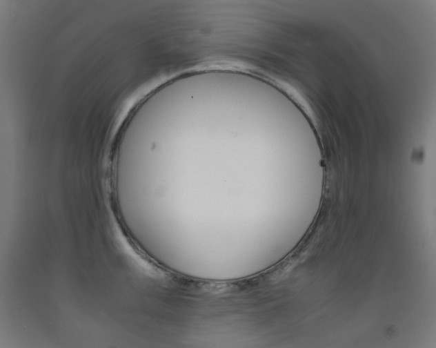 X0000093231003200709261505