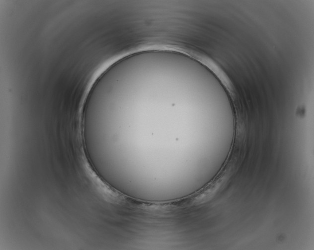 X0000093231004200709261505