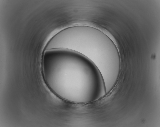 X0000093231005200709261505