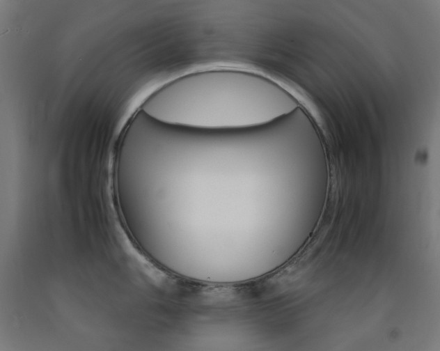 X0000093231006200709261505