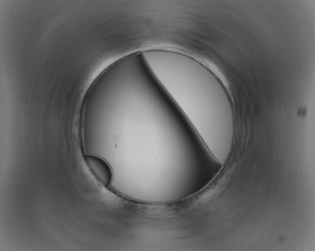 X0000093231007200709261505