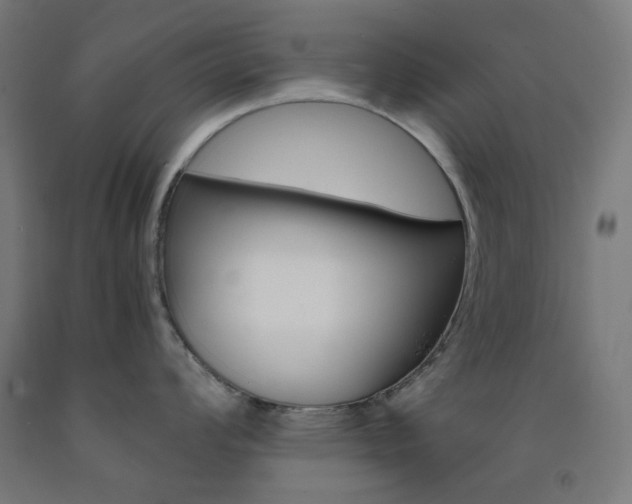 X0000093231008200709261505