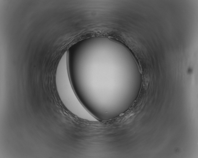 X0000093231010200709261505