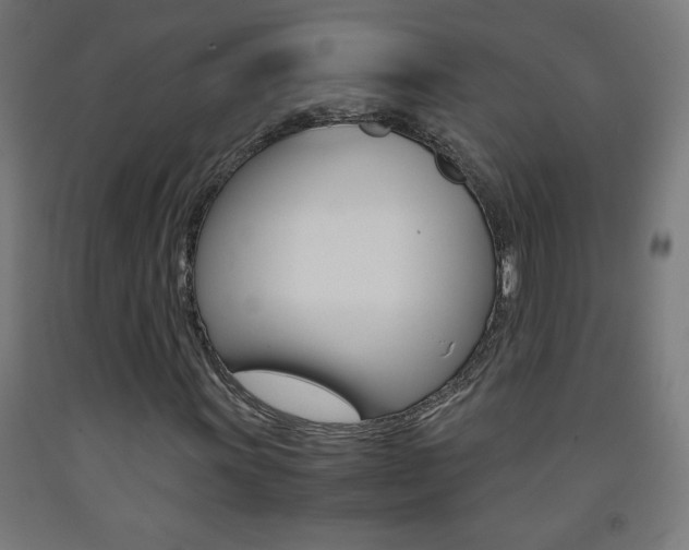 X0000093231011200709261505
