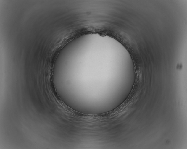 X0000093231012200709261505