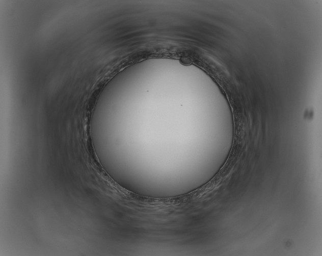 X0000093231013200709261505