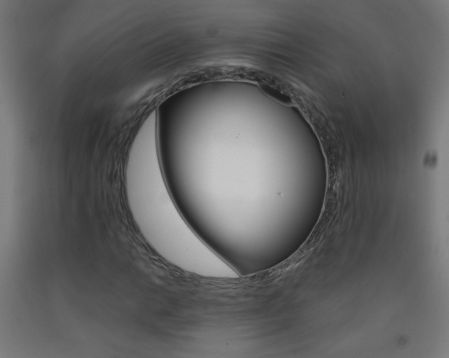 X0000093231014200709261505