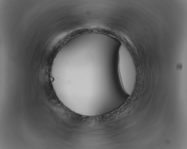 X0000093231016200709261505