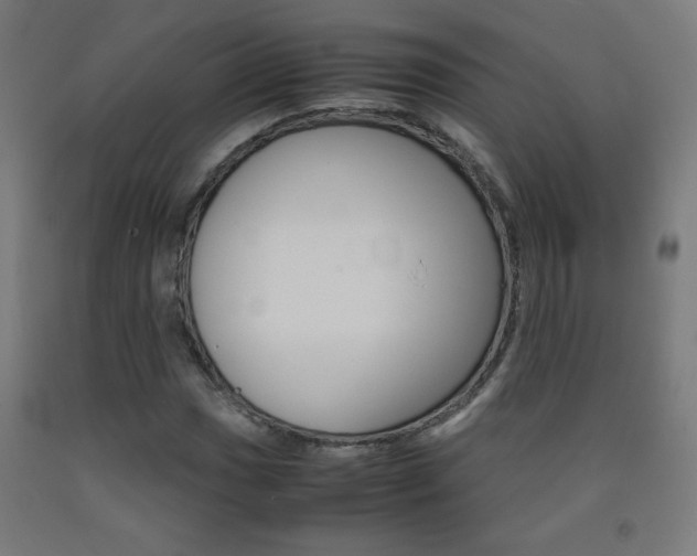 X0000093231017200709261505