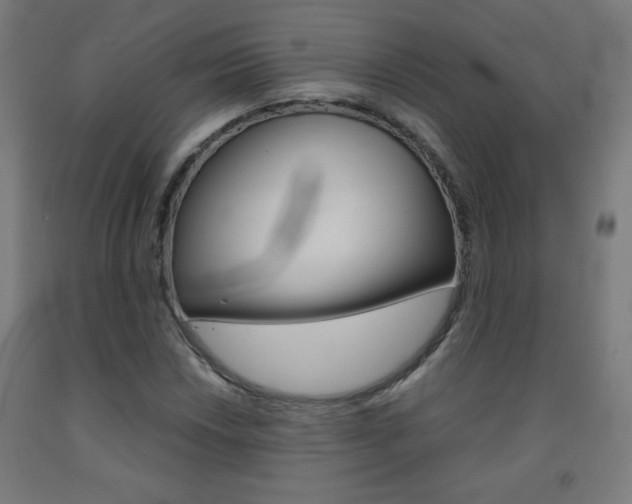 X0000093231018200709261505