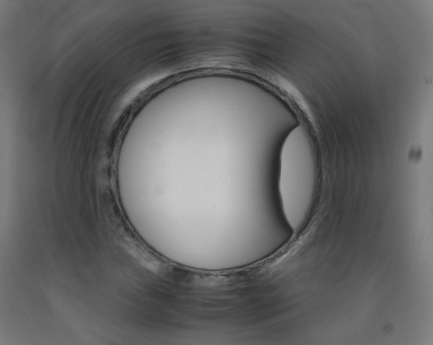 X0000093231019200709261505