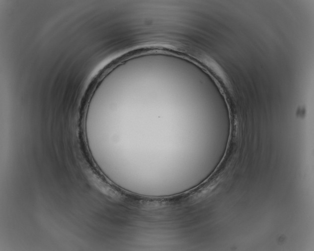X0000093231020200709261505