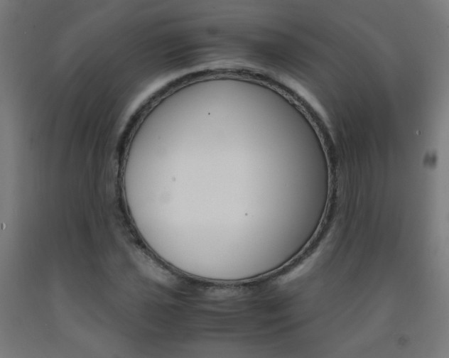 X0000093231021200709261505