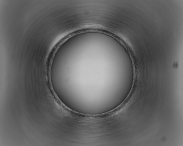 X0000093231022200709261505