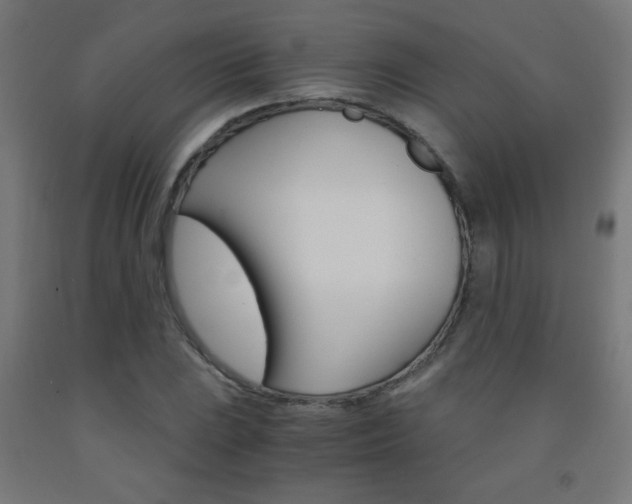 X0000093231023200709261505