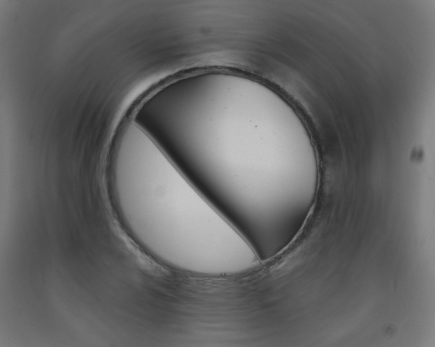 X0000093231024200709261505