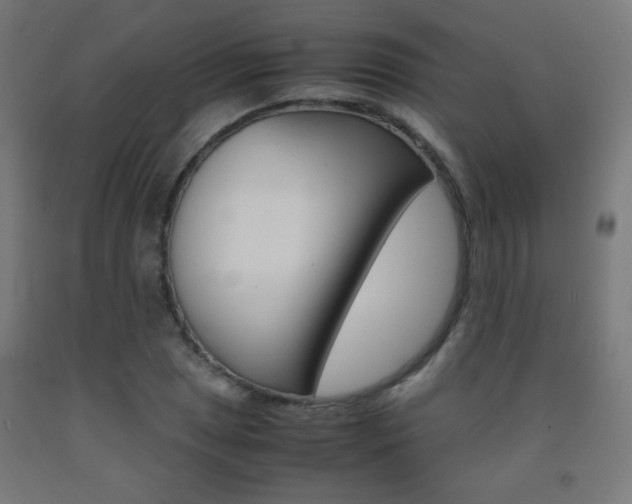 X0000093231025200709261505
