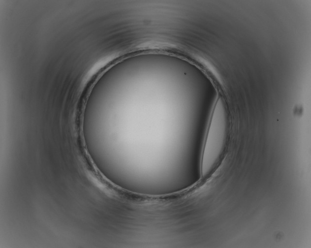 X0000093231026200709261505