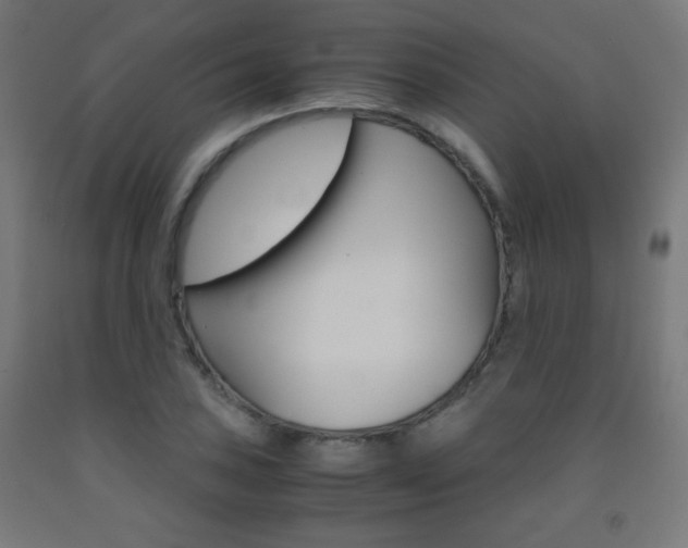 X0000093231027200709261505