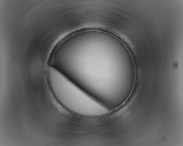 X0000093231029200709261505