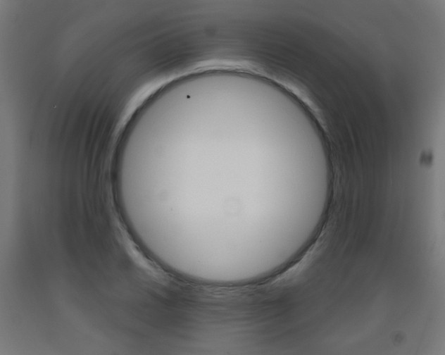 X0000093231030200709261505